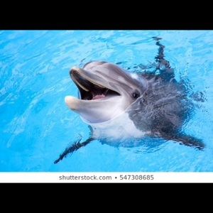 Meet your Posher, Dejanae